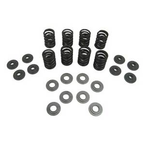 SCHRICK HD VALVE SPRING CONVERSION KIT W/ AUTOTECH TITANIUM RETAINERS 2.0L 1996-05